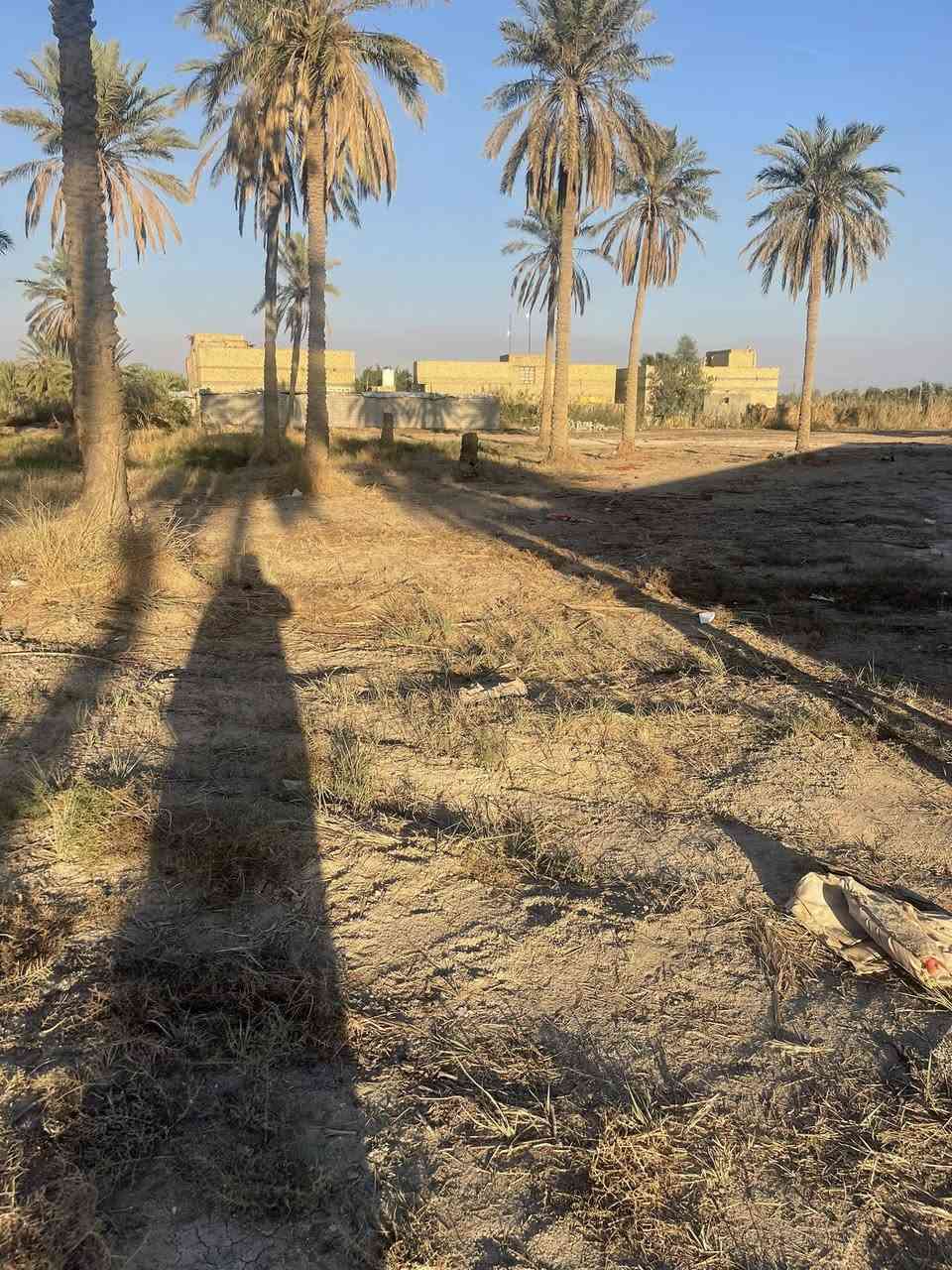 ٢٥٠٠ متر دونم طابو اسهم سند ٢٥ على شارعين متوفر كافه الخدمات ماء وكهرباء وشوارع عرض ١٠ متر وارض زراعيه حلوه العنوان شارع السفينه بشارع الخلف مدرسه الواثق للاستفسار ***********
