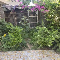 حلة أبو عجاج • ٢٥٠م • غرفتين
