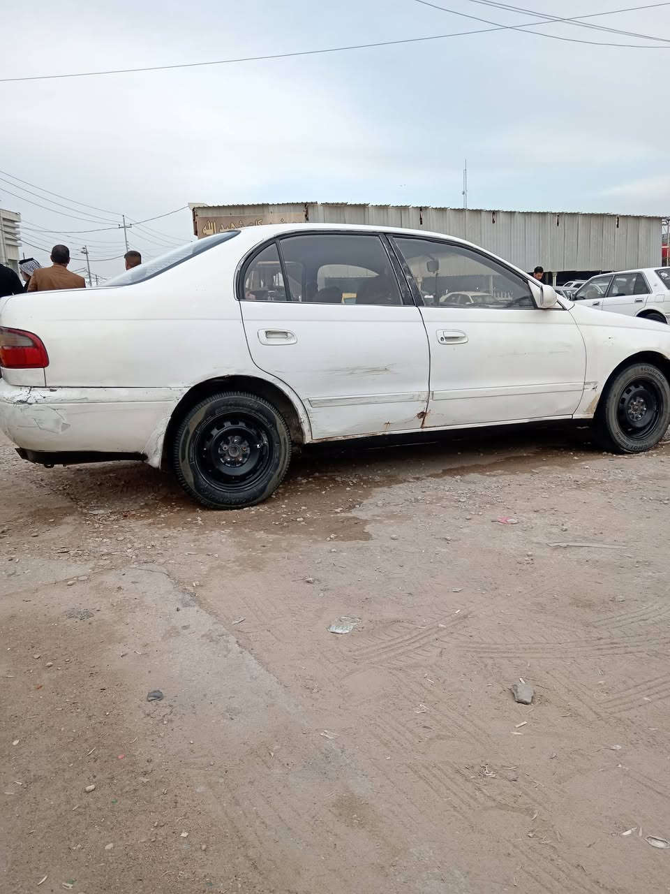 سلام عليكم) كرونا مكفولة من الكصه ونغل جثة وضربه قويه مكينه وكير جدد رقم بغداد مشروع وطنية سنويه 2028 العنوان النجف ناحيته الحيدرية ***********
