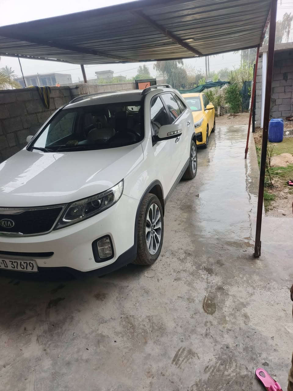 سلام عليكم سورنتو 2014فول مفوله ما عدا بانوراما مكفوله ما عدا جاملغ خلفي بارد بسيط شبر 4سلنتر للبيع او مراوس رقم تلفون ***********
