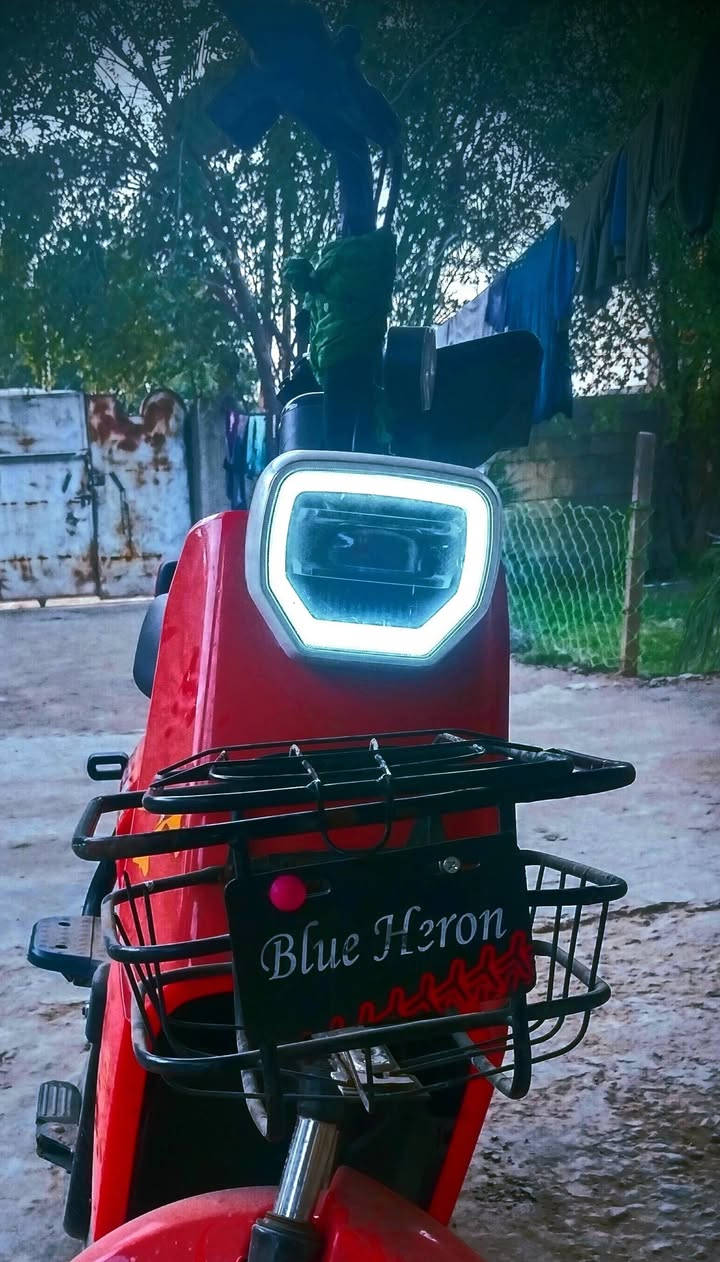 يالله سلام عليكم دراجة شحن موديل 25 شاير هورن باتريات جدد دراجة نضيفه اخت جديد مكاني بغداد حي البتول السعر 250 الاتصال *********** مكلف بل النشر
