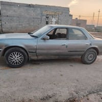 شيزر • مكفوله • ميسان