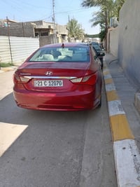 ٢٠١١ • وارد امريكي • صبغ ٤ قطع
