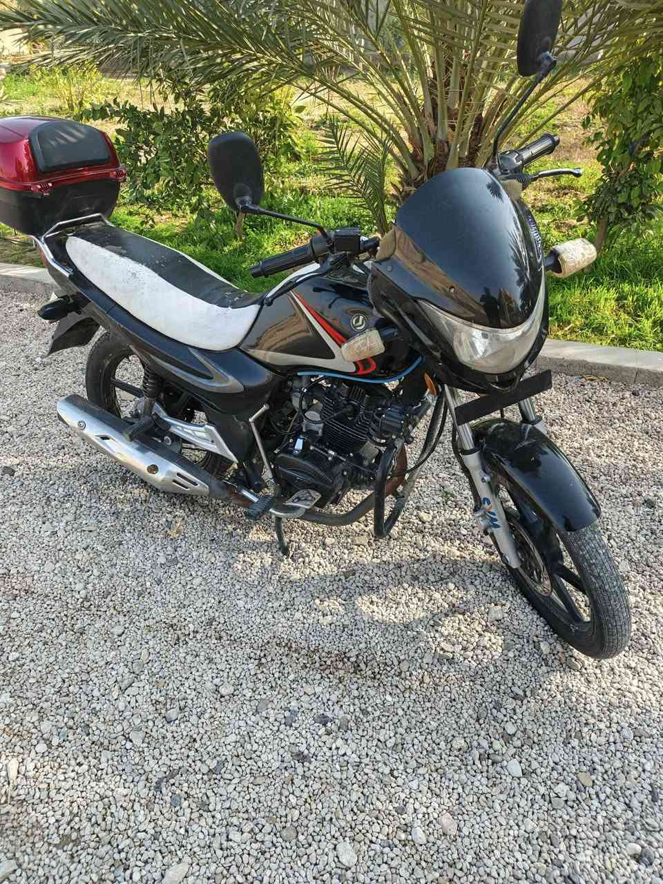 السلام عليكم ورحمة الله وبركاته
دراجه للبيع  
نوع  سايم. 
موديل 20 
مكاني الرمادي الجزيرة رقمي ***********
ماطور مسجل. وكامل. بي سنويه  سعره.  1500
وبي. مجال. ماطور نضيف. كلشي شغال بي.
