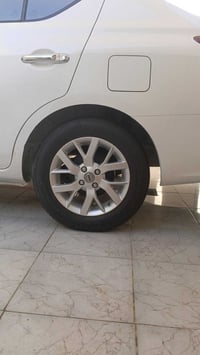 تخم ويل بيع او مراوس بويل عادي مكاني بغداد بسمايه 07763131020