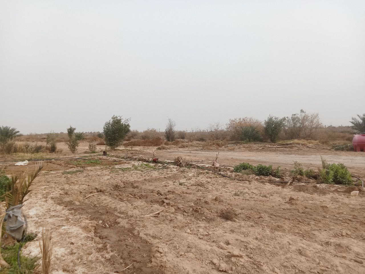 السلام عليكم ارض للبيع المساحه (6) دونم + بيت بناء حديث + ماء وكهرباء + نخل حمال العنوان كاع ال زيرج قرب 
السيطره للتواصل عن طريق رقم صاحب الكاع *********** ! وافق الحبيب
