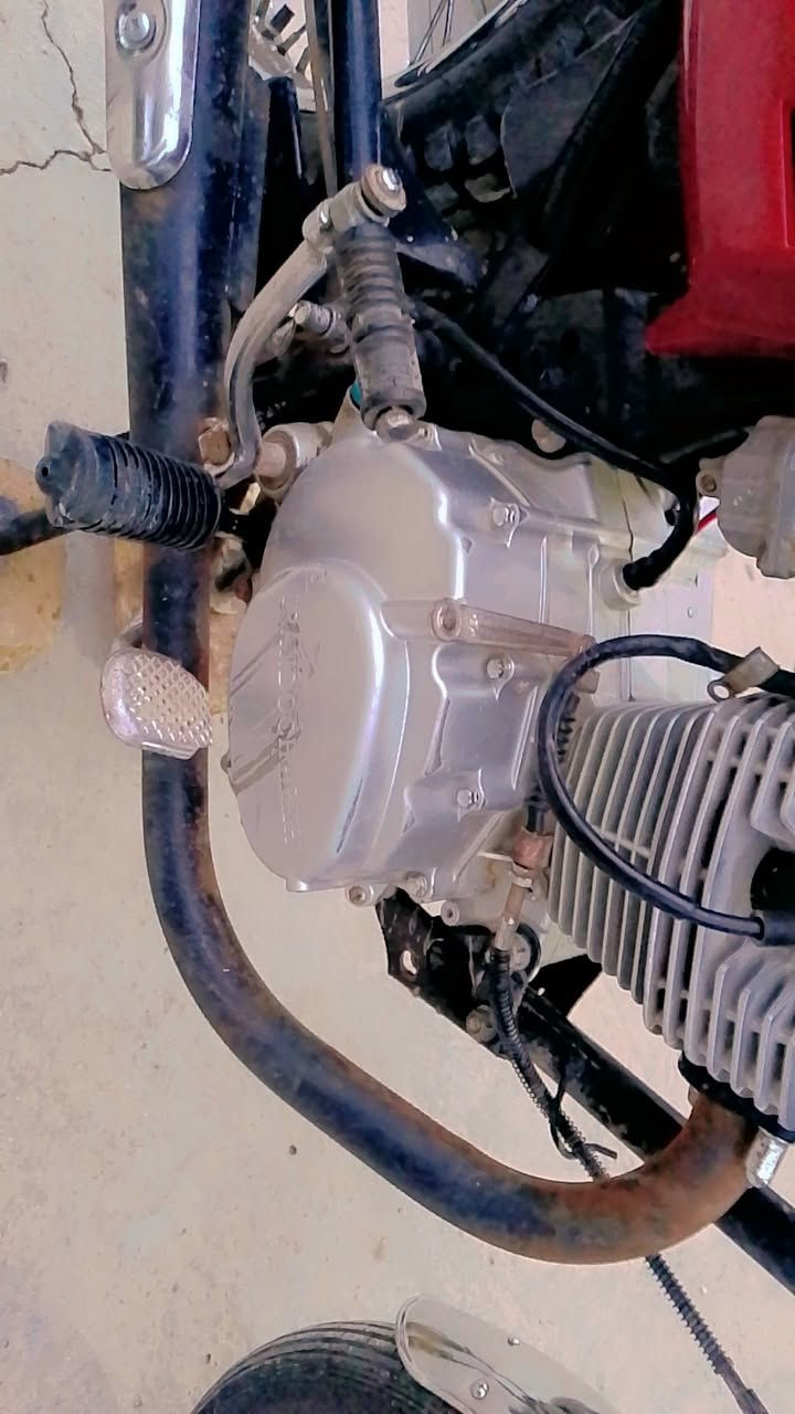 دراجه نامه امتياز مديل 2026دراجه نضيفه خير من الله مكفوله كهربائيات شغاله محرك ارشه مديل 2023 اوراق اصولي5اوراق للبيع او مراوس بدراجه كامله مكاني بابل ناحيه نيل سعر 550وبيه مجال للطيبين متواجد خاص وارد على تعليقات


**إذا كنت صاحب هذا الإعلان وتريد حذفه لأي سبب، رجاءا أرسل رسالة إلى الدعم الفني**