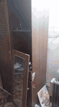 كلهن.البيع والشراء يتصل على رقم واتساب مستعجلين علي ***********
