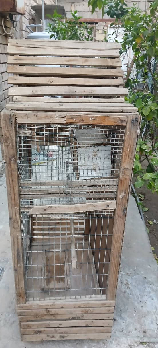 السلام عليكم اخوان
اقفاص للبيع اعدم الاستفاده منهن قفص كبير حديد /والاخر قفص خشب مرتب وجميل ديكور حلو السعر الاثنين ٤٥ بيهن مجال وشكراً


**إذا كنت صاحب هذا الإعلان وتريد حذفه لأي سبب، رجاءا أرسل رسالة إلى الدعم الفني**
