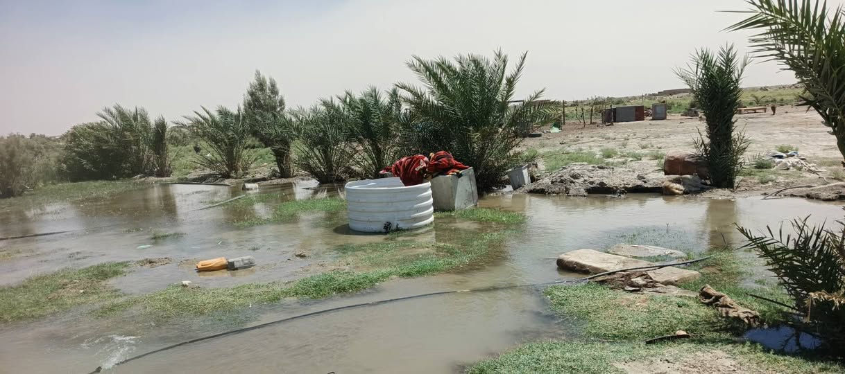 سلام عليكم ارض زراعيه للبيع 90دونم صالحه لزراعه
ماء كهربا محوله جديده. 
نخيل اكثر من 100نخله مثمره
بيوت عدد 2  تمتاز بموقعها  لجغرافي.  تطل علئ المالح   تبعد عن لتبليط اقل من كيلو متر  السعر  خاص رقم الهاتف  ‏‪***********‬‏
