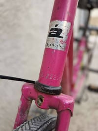 بسكليت بناتي • لون وردي • جردة صغيرة