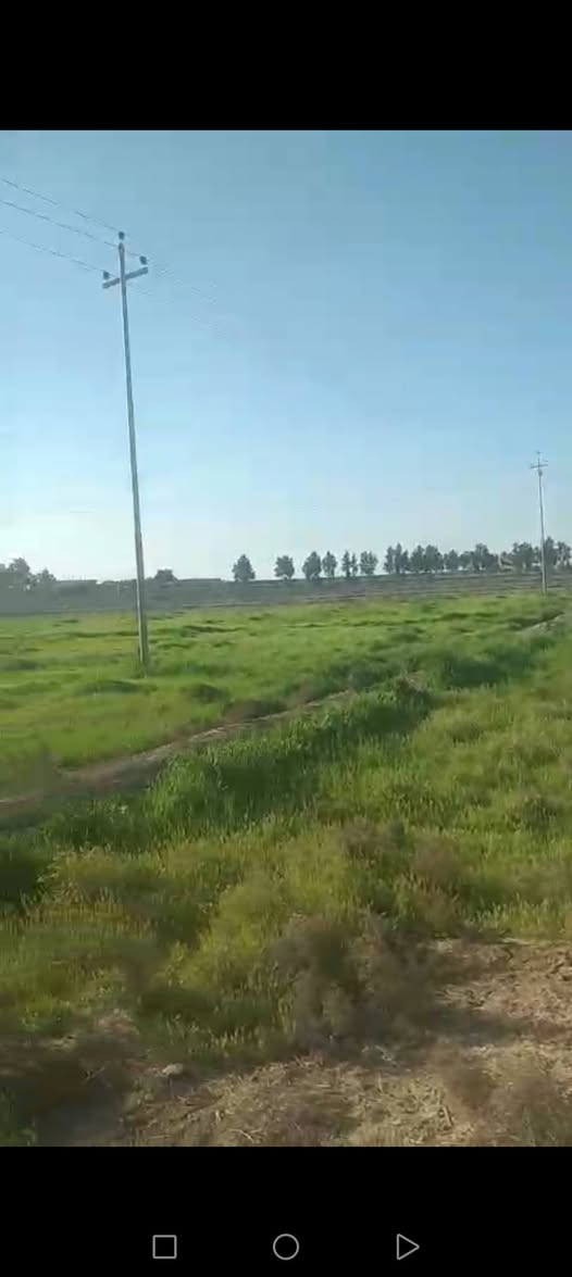 جاير للبيع 12دونم المكان عل بسروكيه للستفسار الاتصال على الرقم ***********
