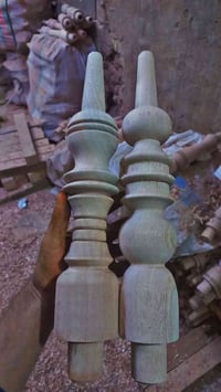 جاوي افريقي • ٤٠سم • توصيل مجاني