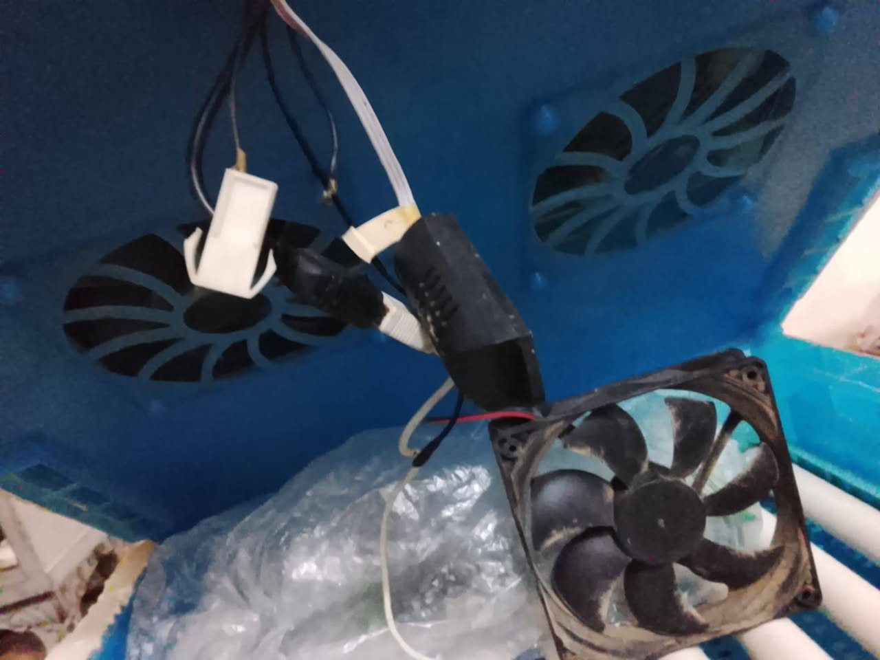 فقاسه البيع بيه بس البنكه مال الفان وكفه


**إذا كنت صاحب هذا الإعلان وتريد حذفه لأي سبب، رجاءا أرسل رسالة إلى الدعم الفني**