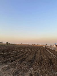 اليوسفيه جسر صبار • ٤ دونم • سند ٢٥