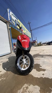 ماكس عدلة • بوشة 55 • سلف 55