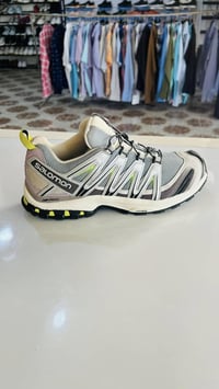 سلمون • 3D • مقاس ٤٣ وربع