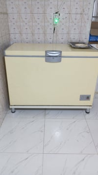 مجمدة • فريزر • ١٢قدم