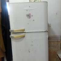 فستل • حجم كبير • الخطيب الزراعي