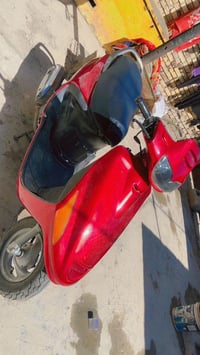 فراشة فحل ماكس • مكينة شرط • ديوانية شافعية