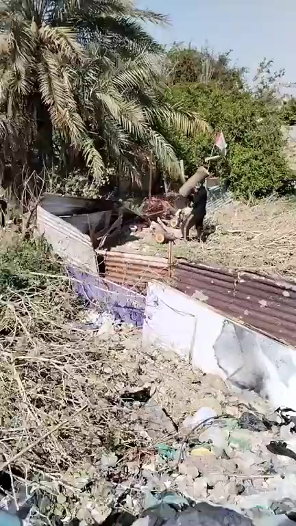 *********** @***********كادرمتخصص لقطع الأشجار والنخيل @الجميع
