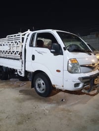 كية حمل فحل للبيع رقم بابل  مديل 10 راعيها ميت قاصر واحد  تواصل رقم ها...