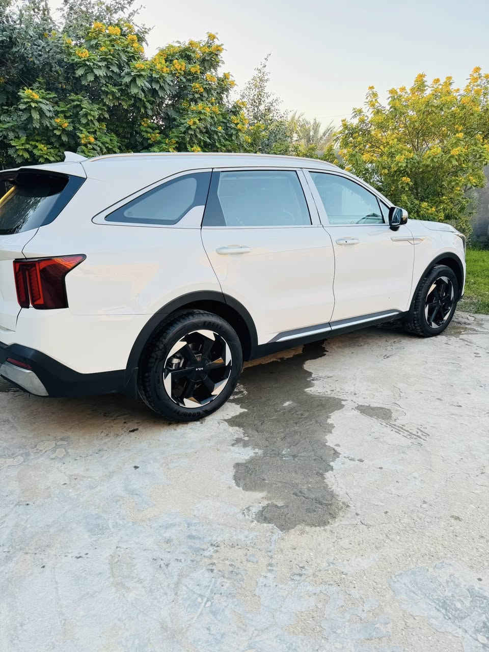 السلام عليكم
سورينتو ٢٠٢٤ للبيع خليجي 
مكينه ٦ سلندر 
كير ماوس مع شفتات ستيرن
٧ راكب
ماشيه ٣٥ 
لايت لد كشاف زنون حساس امامي حساس خلفي 
كاميره متحركه
هاند بريت بصمه 
بردات خلفيه 
تشغيل عن بعد 
دشبول ٧ ألوان
شاش ديجتال
صندوق كهرباىي 
ثلث قطع تبريد 
شاحن تلفون 
السياره مكفوله كفاله عامه من التبديل والبارد والشخط 
مواصفات دوليه ضمان ٥ سنوات 
رقم بغداد 
السعر ٣١٠ وبيها مجال 
المكان الناصريه 
للتواصل الرقم ***********
