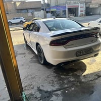 جانجر • ٢٠١٦ • صبغ عام