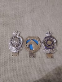 ملكه و ملك وحذوه بوري كامل  الشعب ٠٧٧١٦٧٦٤٤٠٤ متواجد خاص