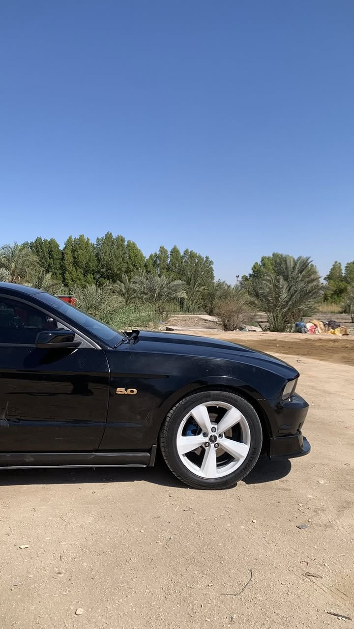 موستنك مديل 12 بريميوم 
مكينه كير توني شادهن كير عادي سياره قويه الضرر فقط ٣ قطع صبغ بدون دواخل 

فيت بم ربسنك 

بلكات ريسنك 

نوزلات جدد

لحيه rtr 

تبريد تدفئة كله شغال

اكزوز ٢ونص انج 

اوركل ترحيب 

سستم صوت وشاشه

سقف روز 

سياره كلش هواي صارف عليه نضيفه كلش دعامه خلفيه من شركه ما مفتوحه 

بكلايت فيراري

عليه 

اكسل جيتي 

تحويل أو وكاله 

للبيع أو مراوس 

رقم ***********

المكان ناصريه مركز
