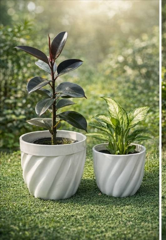 جمال الطبيعة في متناول يدك! نباتات خارجية تُزين حديقتك، ونباتات ظلية تضفي الحياة على منزلك. متوفرة الآن في صفحتي مدينة الموصل  مع خدمة توصيل سريعة وموثوقة." 
اسعار التوصيل حسب المكان


**إذا كنت صاحب هذا الإعلان وتريد حذفه لأي سبب، رجاءا أرسل رسالة إلى الدعم الفني**