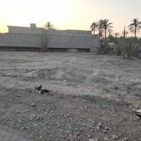 ابي الخصيب حمدان • ٢٠٠م • أرض زراعية