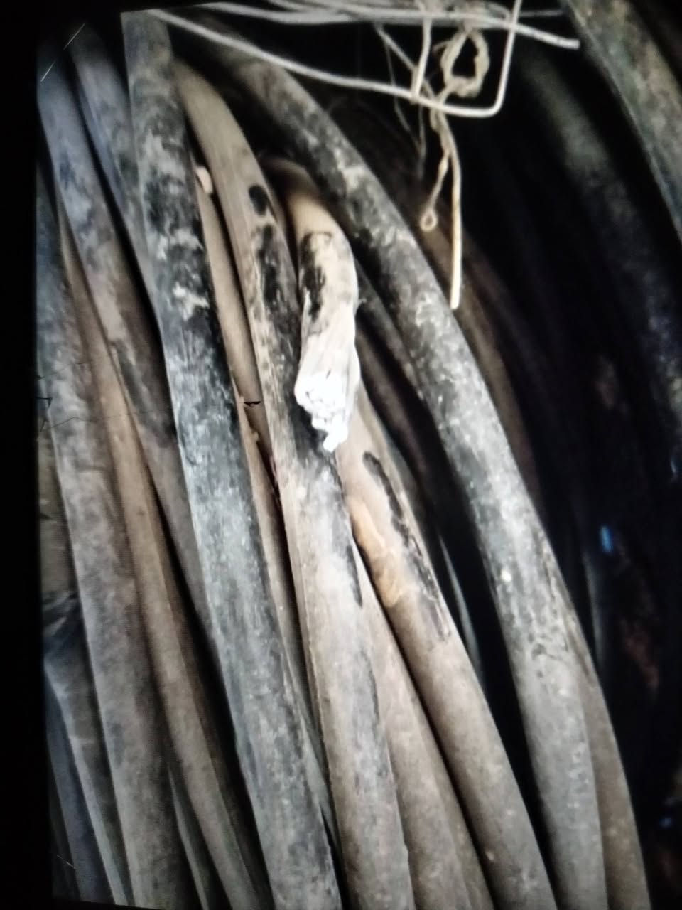 كيبل ابو هدعش الطول 350 السعر 900 وبيه مجال


**إذا كنت صاحب هذا الإعلان وتريد حذفه لأي سبب، رجاءا أرسل رسالة إلى الدعم الفني**