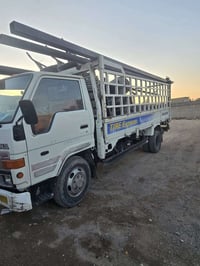 داينه • طويله • ديالى