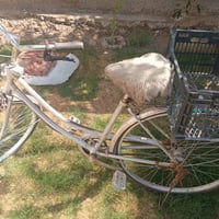 بسكليت • للبيع