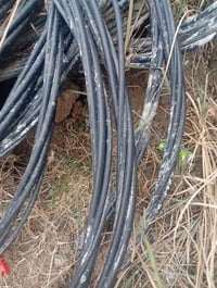 ضفيرة • نظيفه • أكثر من ١٠٠م