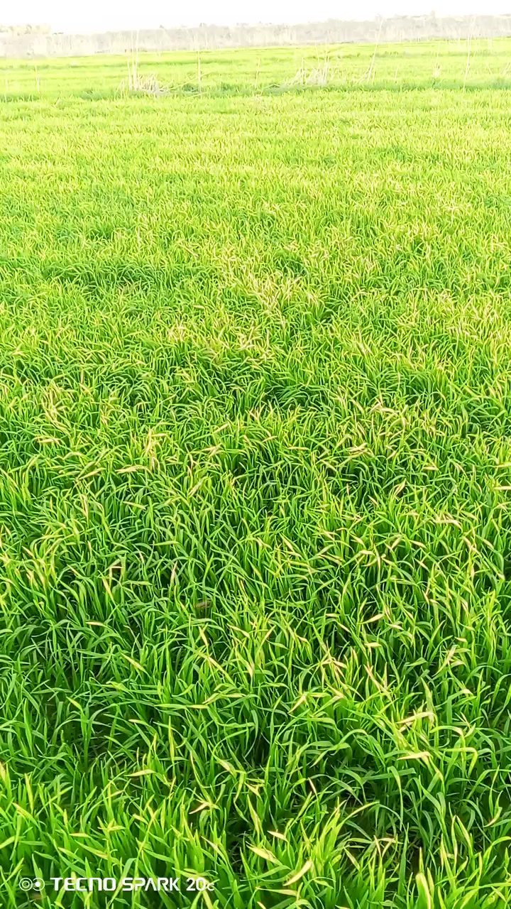 أرض للبيع 40 دونم كافة الخدمات ماء أسالة وكهرباء وتبليط تبعد عن ألما 10 أمتار وعن تبليط 5 أمتار مداور راسلني خاص


**إذا كنت صاحب هذا الإعلان وتريد حذفه لأي سبب، رجاءا أرسل رسالة إلى الدعم الفني**