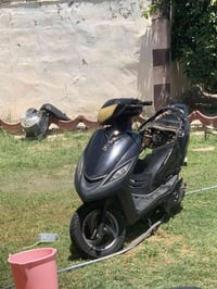 فراشة • كشن • جنطة