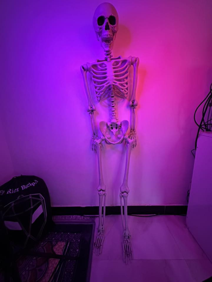 هيكل عضمي تعليملي او ديكور مو تخوف بي جهال
طول 165سم بمفاصل متحركه
مصنوع من بلاستك 
سعره 75 الف ماعندي توصيل مكاني حي الوحده


**إذا كنت صاحب هذا الإعلان وتريد حذفه لأي سبب، رجاءا أرسل رسالة إلى الدعم الفني**