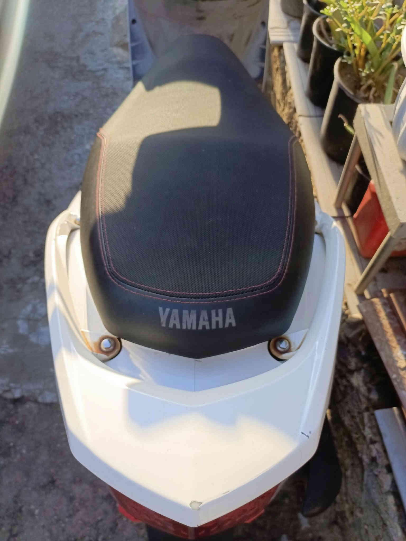 السلام عليكم دراجة سكنس فحل كابريتر صارله سبوع نازلة من الرمبة زيرو ملحة ماشية (19 الف) بس وكالة شرط  الدراجة قبق كلج ممفتوح مكفولة كفالة عامة جيب كوستر مال فيترية وتعال السعر مليون 200 الف وبيه مجال للشراي وذا معجبك السعر تلكا الاحسن سوك كلشي بي وكلشي بسعرة العنوان (بغداد) رقم (***********)
