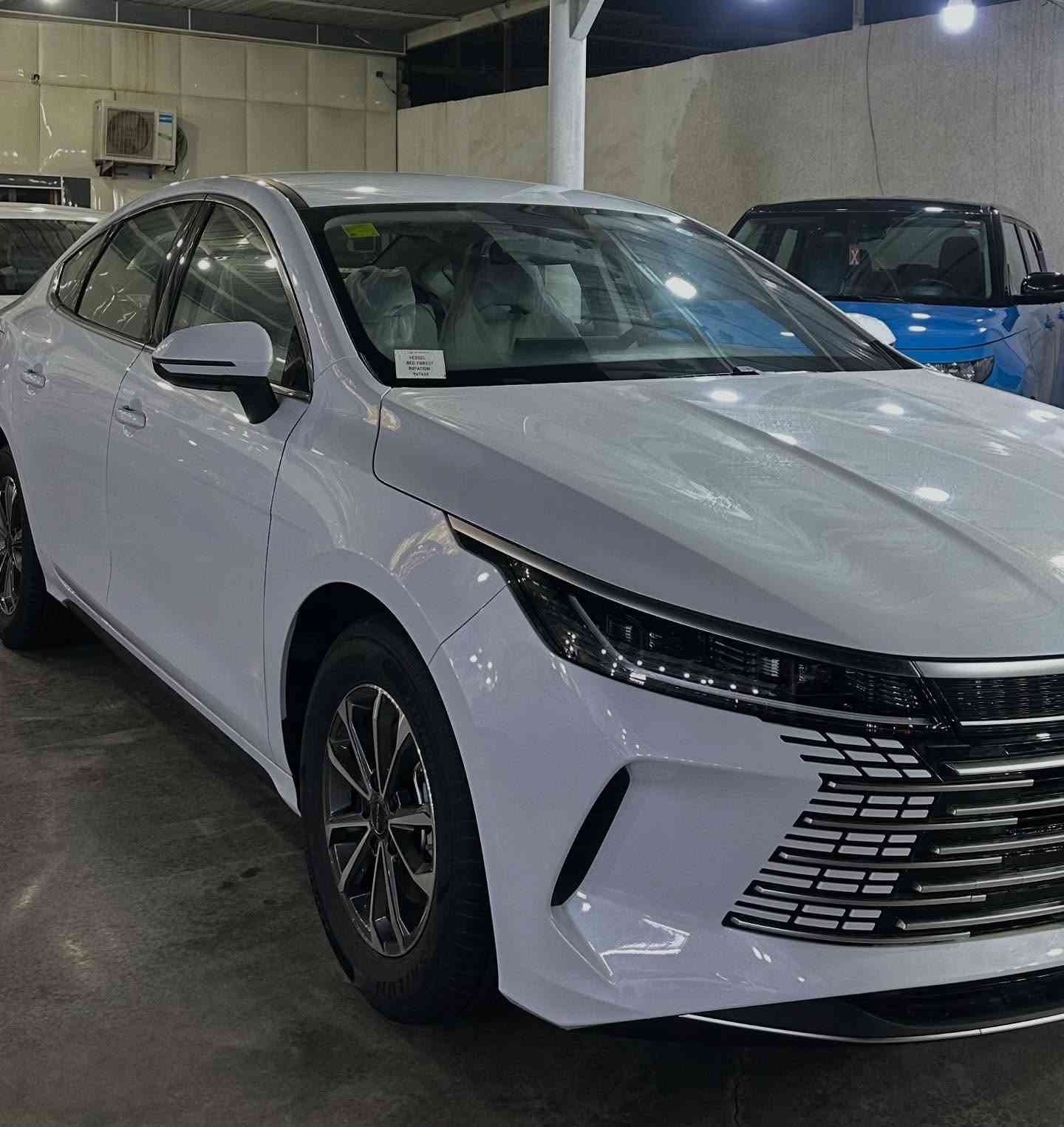 شركة السدّ العظيم لتجارة السيارات 

  الانواع المتوفرة حاليا 
-_-_-_-_-_-_-_-_-_
دسترورير ابيض وألوان 2025
سيل 05 ابيض وألوان 2025
سونج بلص سمنتي ورصاصي 2025
كين ال فول فتحه بانوراما رصاصي 2025
سيل 07 فول مواصفات لون اسود داخل مشمشي 2025
سيل 07 فول موصفات لون ازرق 2025
سيلايون 06 لون رصاصي 2025
سيلايون 05 ابيض وألوان موديل 2024
 ليوبيرد 7 فول اسود داخل مشمشي
-_-_-_-_-_-_-_-_-
 العنوان بغداد مجمع معارض البياع الشارع الرئيسي 
  الاستفسار الاتصال 
***********
***********
