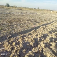 سيطرة الشوفه • سند ٢٥ • دونم ونص