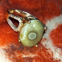 ناصريه المدينة • البصرة