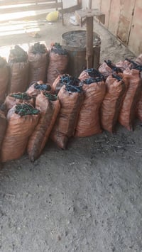 فحم عراقي الكونيه بيها 5 كيلوو السعر 10  متووفر توصيل  07733886119