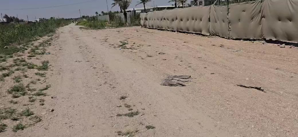 ارض للبيع ٢دونم طريق الابراهميه منطقة الصلاميه يبعد كليون عن شارع البراهميه جنس الارض طوبو زراعي تحويل اسهم بسم المشتري الاستفسار ***********ابوطيبه
