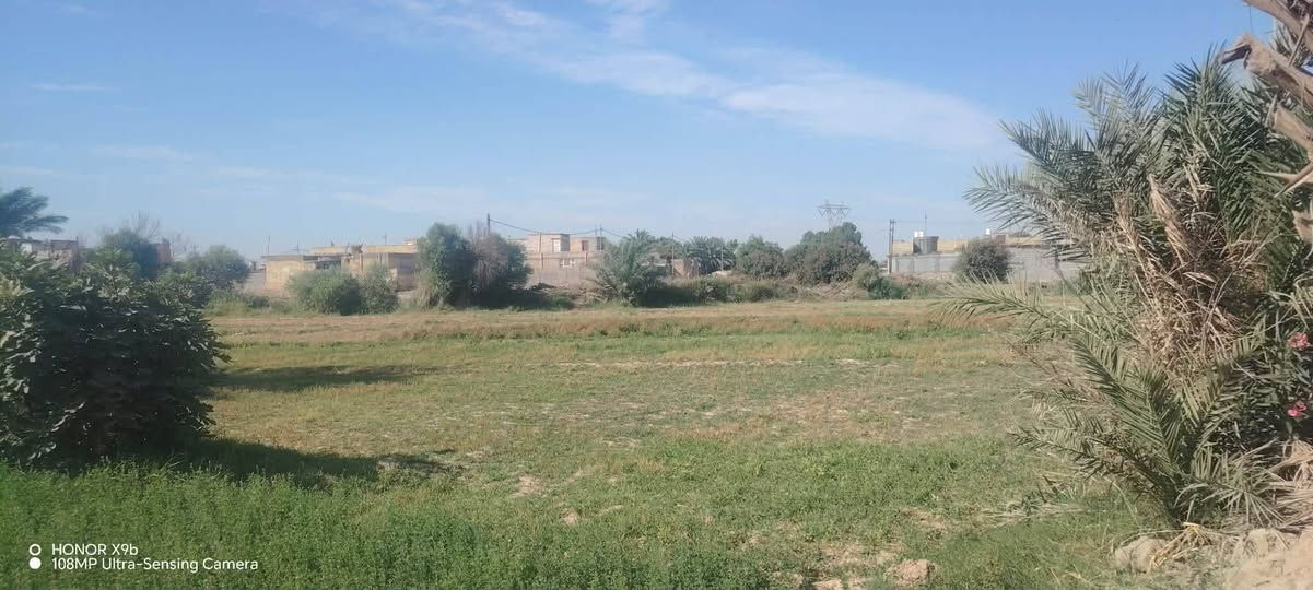 سلام عليكم ارض زراعيه للبيع تحتوي عله بيتين واحد جاهز وثاني واصل للصب وجميع الخدماته متوفره عله طريق الابنجيم للستفسار عله رقم ***********
