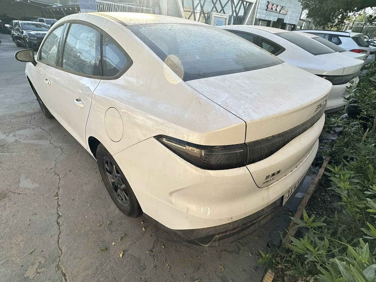 سيل 5.          2025

داخل ابيض مرقم بغداد مثبت لوحات 

السعر اتصل

***********
