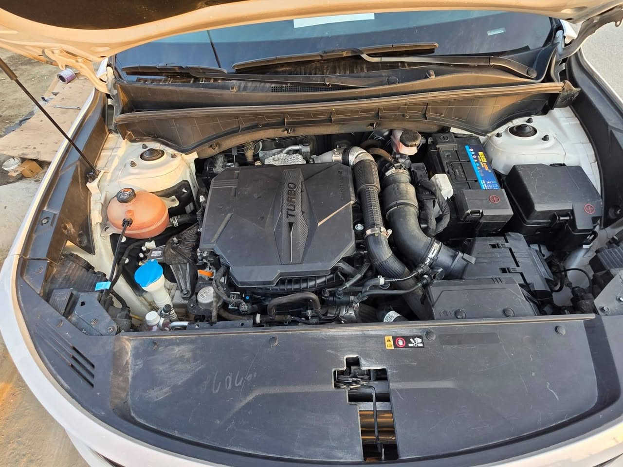 السلام عليكم
للبيع كيا سورنتو
موديل 2022
مواصفات حلوة
بنوراما
صندوق كهرباء شفط
تبريد ثلج
اشاير بل مري
ليد نهاري
كشنات كهربائي
كشنات تدفئة
قيادة الية وتحديد مسار
مانع انزلاق
مكينة تيربو 2500
الحادث موضح بل صور

للاستفسار الاتصال على الرقم 
السيارة خير من الله 
المكان بغداد البلديات
السعر 235
***********
