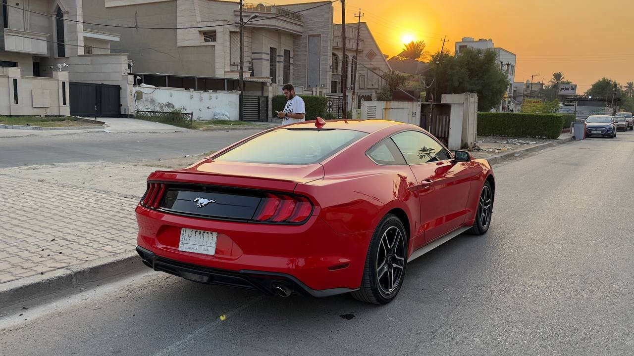 فورد موستنك 2022 بريميوم
ا2.3 تيربو 
كشنات جلد تدفئه وتبريد
داخل سبع اللوان
5 انضمة قيادة 
تحكم ستيرن 
شاشه كار بلي واندرويد اوتو 
تراك اب 
تنبيه ما قبل الاصتدام
مثبت مسار 
دمام خلفي 
تشغيل عن بعد
نقاط عمياء  
ويل قياس 19 
حادث السياره موجود بالصور بيه 3 قطع صبغ جاملغ عكس السايق والبنيد واصبع بالجاملغ الخلفي 
مكان السياره بالمنصور سعر السياره 180 ورقة 
رقمي ***********
