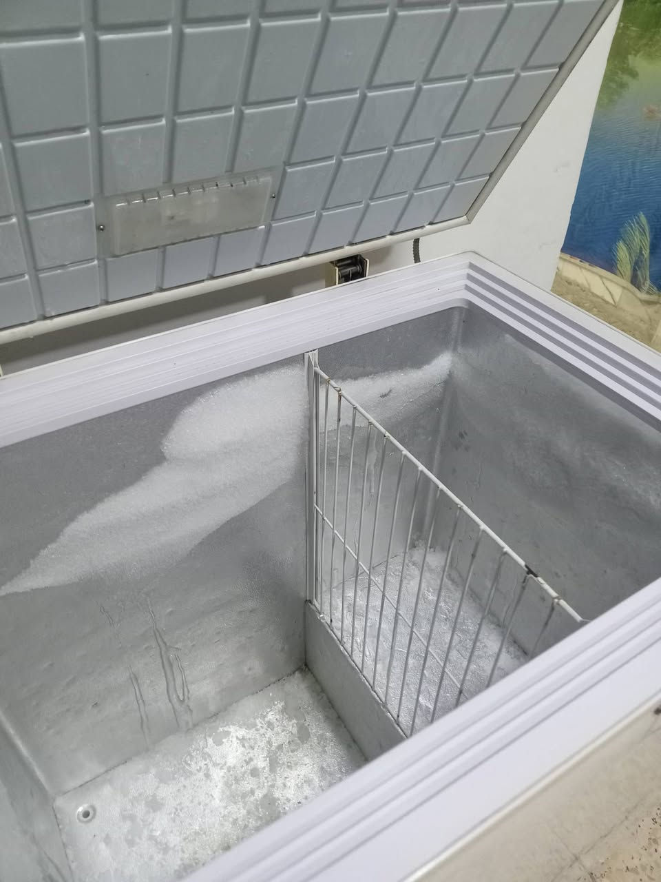 براد للبيع مجمده حجم ١٢ ع فحص تجميد فول ع شرط مادخله تصليح للبيع تخم ١٠ مقعد تركي حطاطه زان للبيع شراي يتصل على رقم ***********
